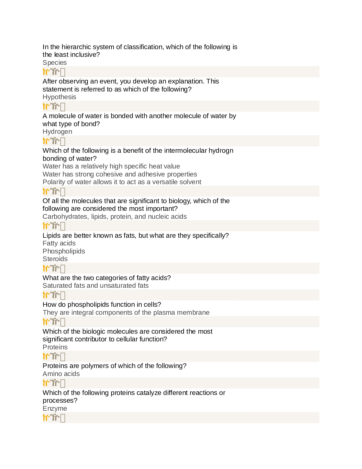 document-preview